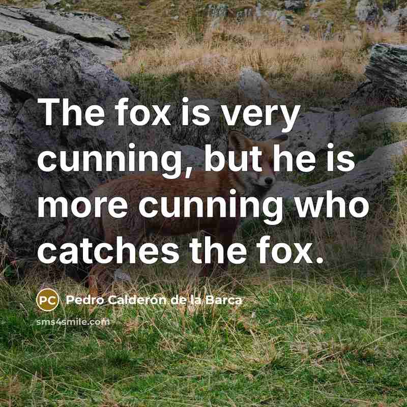 “The fox is very cunning, but he is more cunning…” quote by Pedro Calderon de la Barca