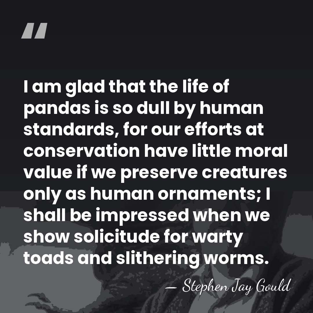 I am glad that the life of pandas is so dull by&hellip; - Stephen Jay Gould
