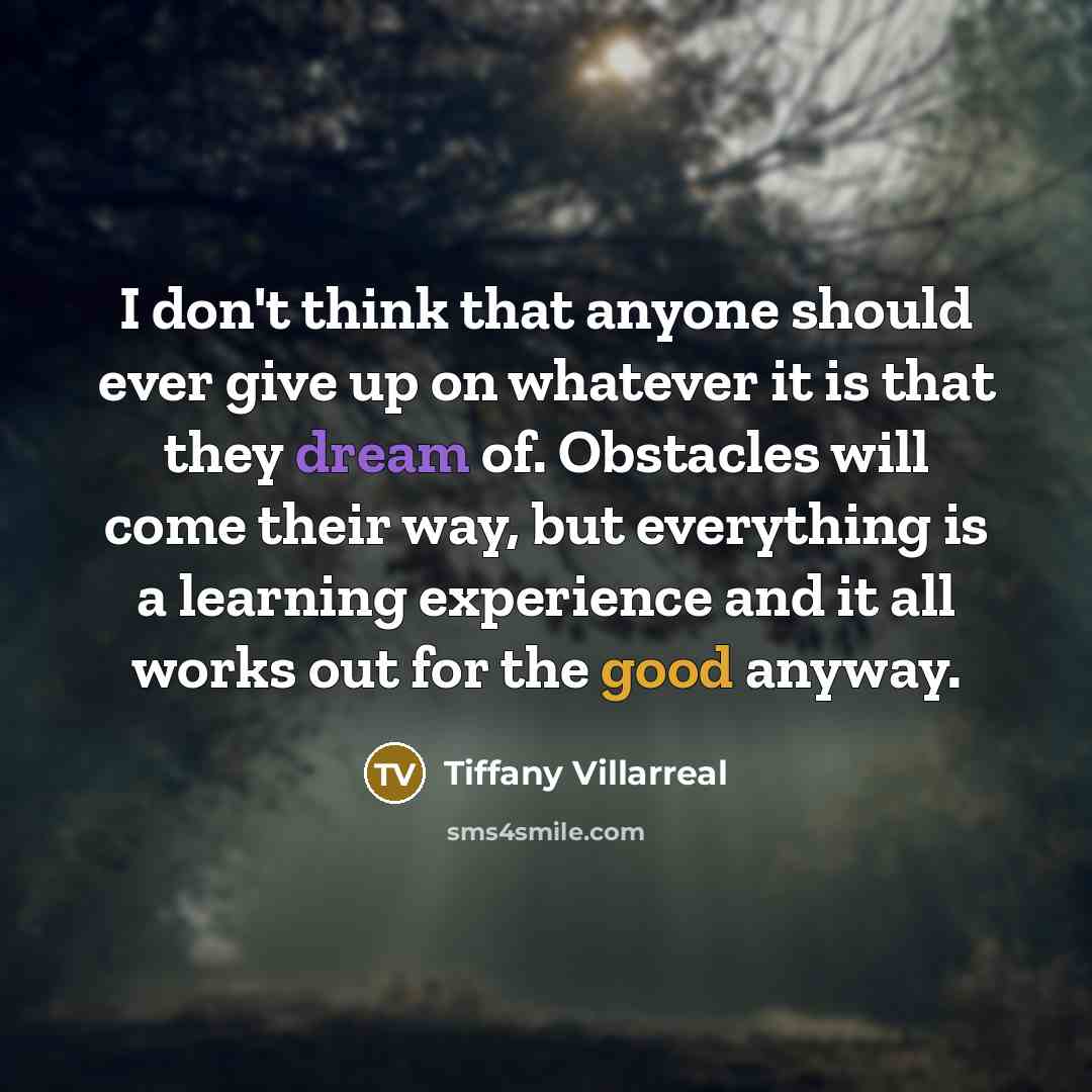 “I don't think that anyone should ever give up on…” quote by Tiffany Villarreal