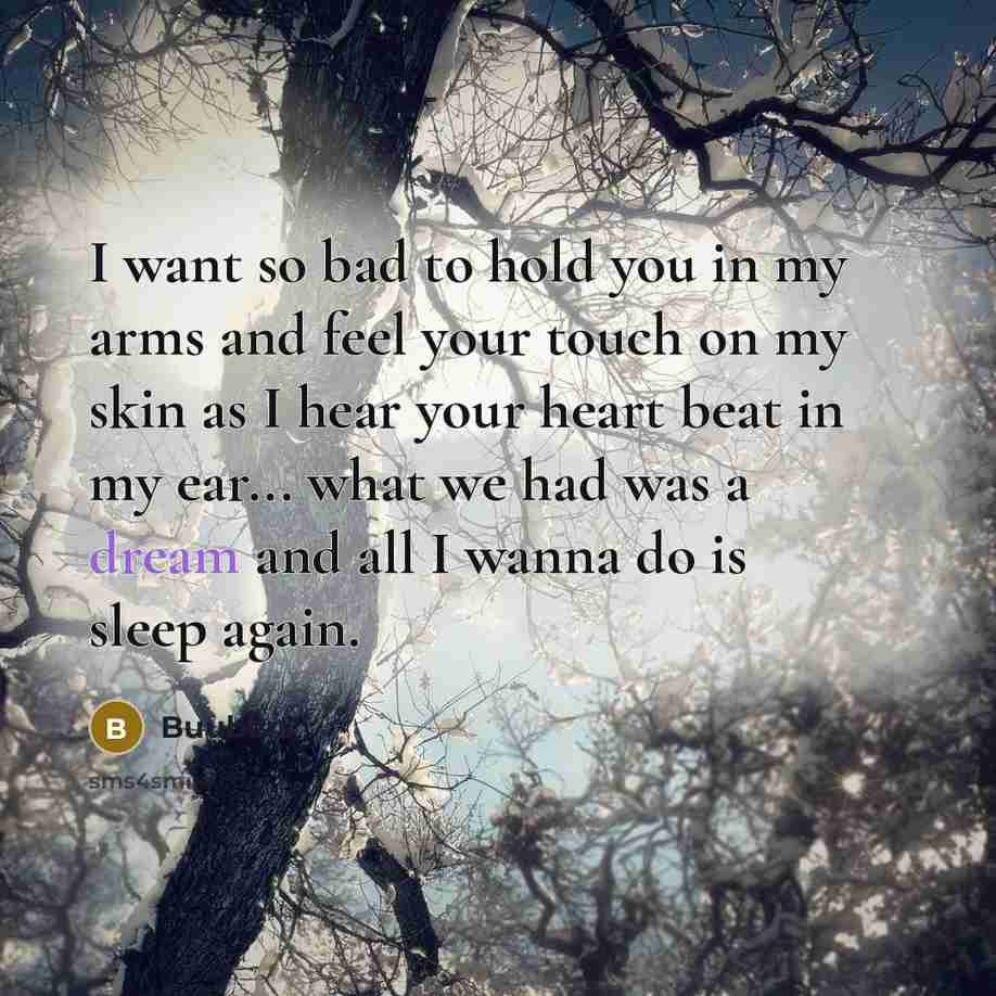 “I want so bad to hold you in my arms and feel your touch on my skin as I hear your heart beat in my ear... what we had was a dream and all I wanna do is sleep again.” quote by Buubers