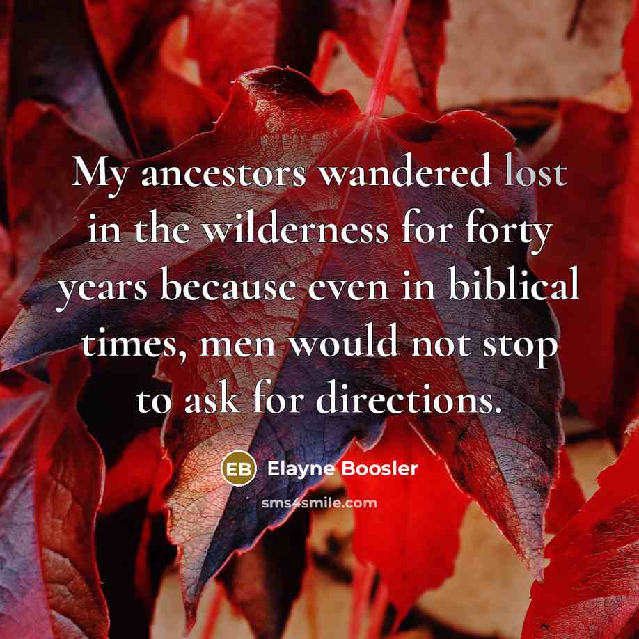 “My ancestors wandered lost in the wilderness for forty years…” quote by Elayne Boosler