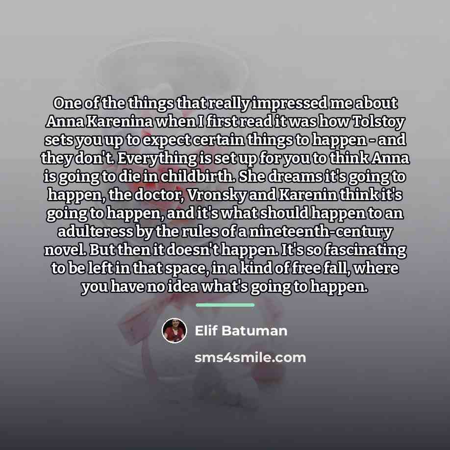 “One of the things that really impressed me about Anna…” quote by Elif Batuman