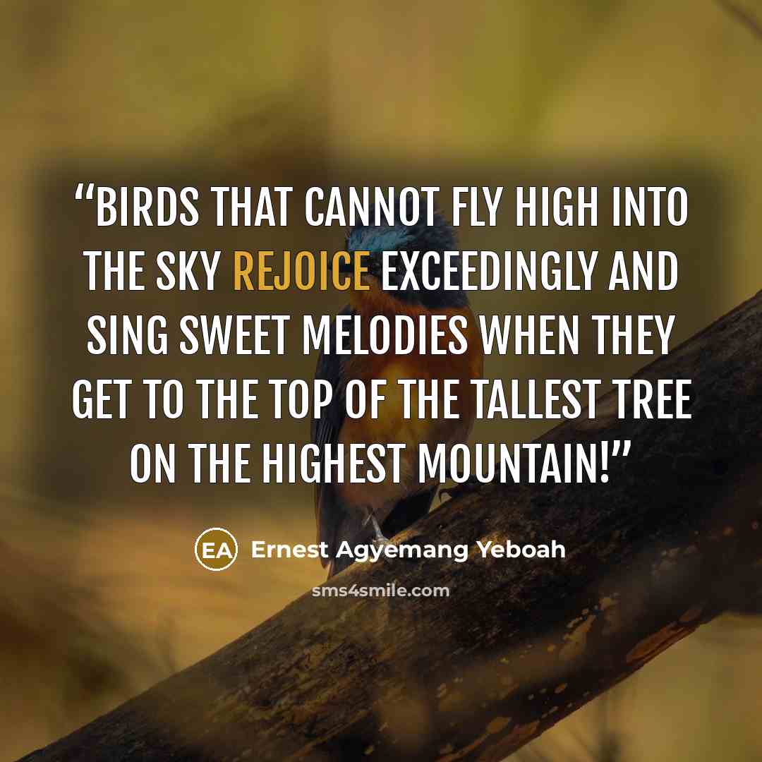 “Birds that cannot fly high into the sky rejoice exceedingly and sing sweet melodies when they get to the top of the tallest tree on the highest mountain!” quote by Ernest Agyemang Yeboah