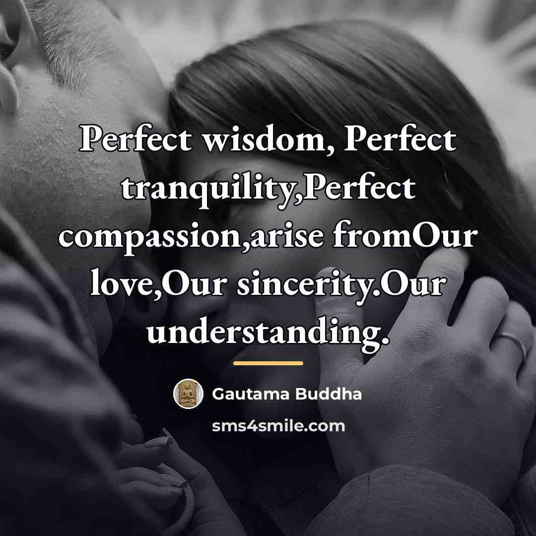 “Perfect wisdom, Perfect tranquility,Perfect compassion,arise fromOur love,Our sincerity.Our understanding.…” quote by Gautama Buddha