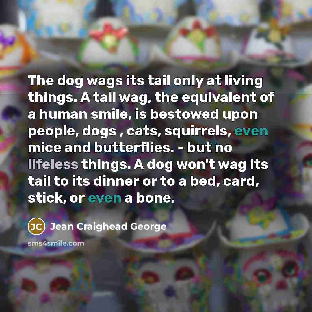 “The dog wags its tail only at living things. A…” quote by Jean Craighead George
