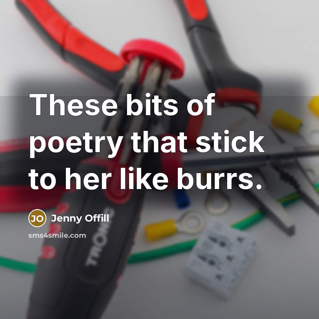 “These bits of poetry that stick to her like burrs.…” quote by Jenny Offill