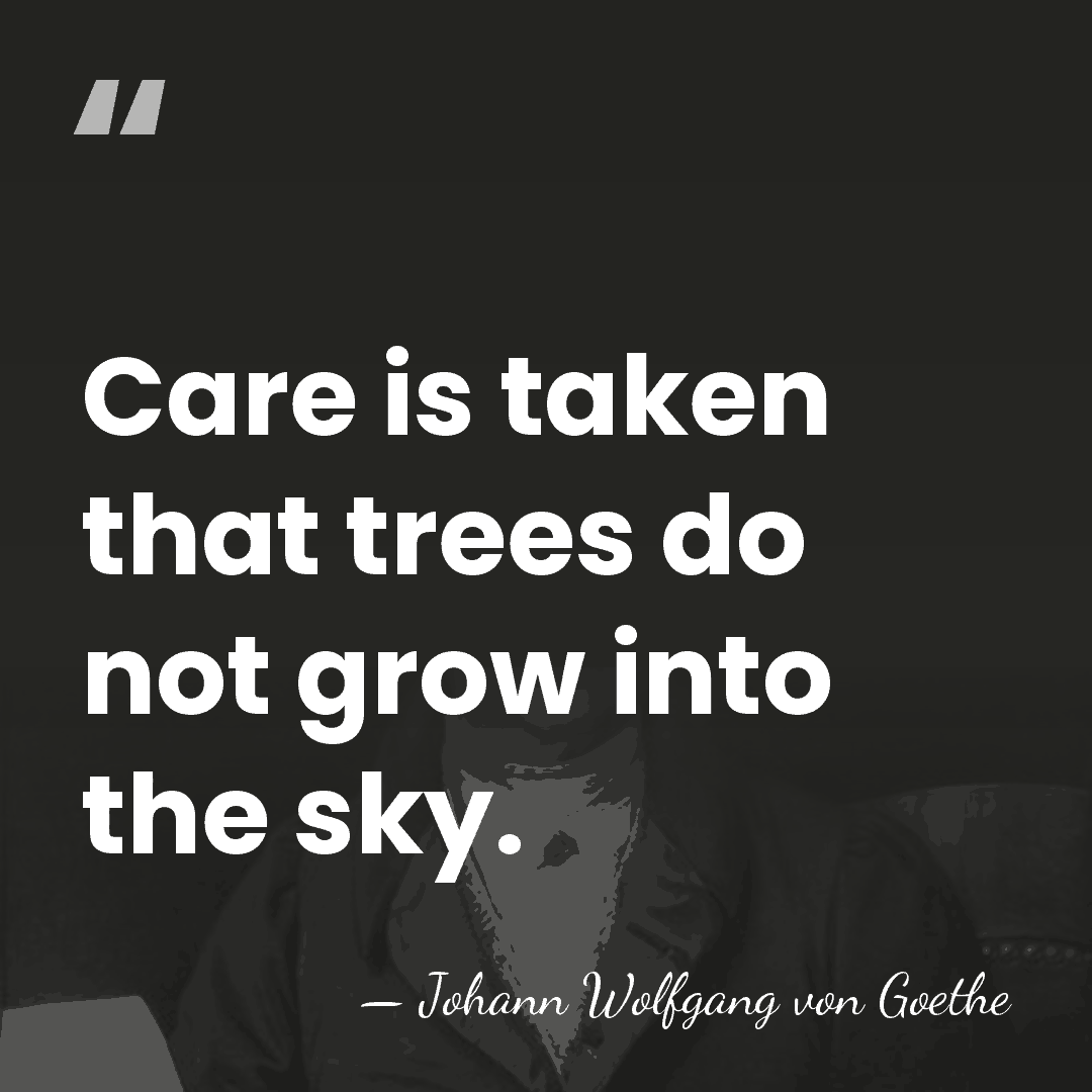 Care is taken that trees do not grow into the sky. - Johann Wolfgang von Goethe
