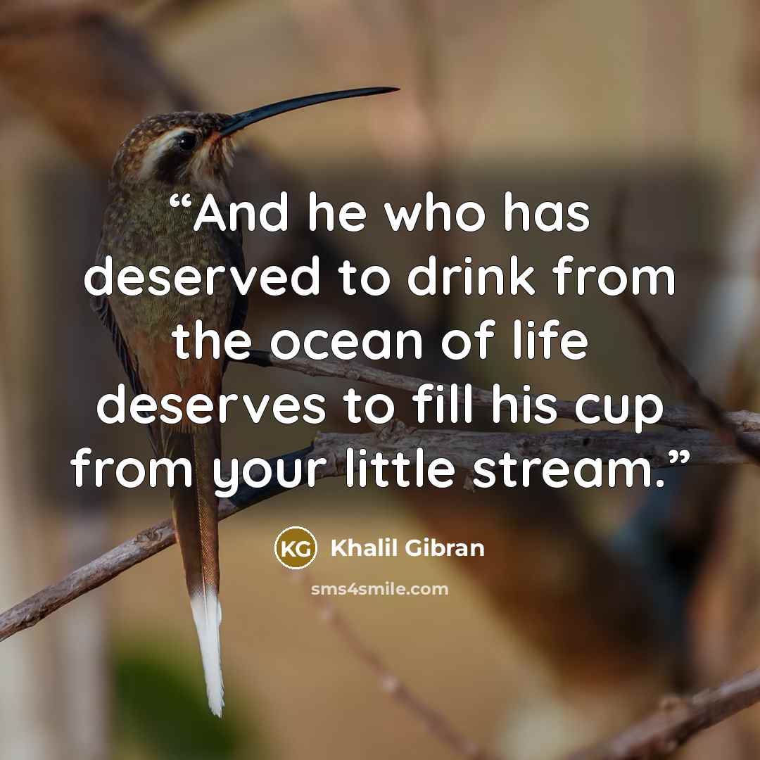 “And he who has deserved to drink from the ocean of life deserves to fill his cup from your little stream.” quote by Khalil Gibran