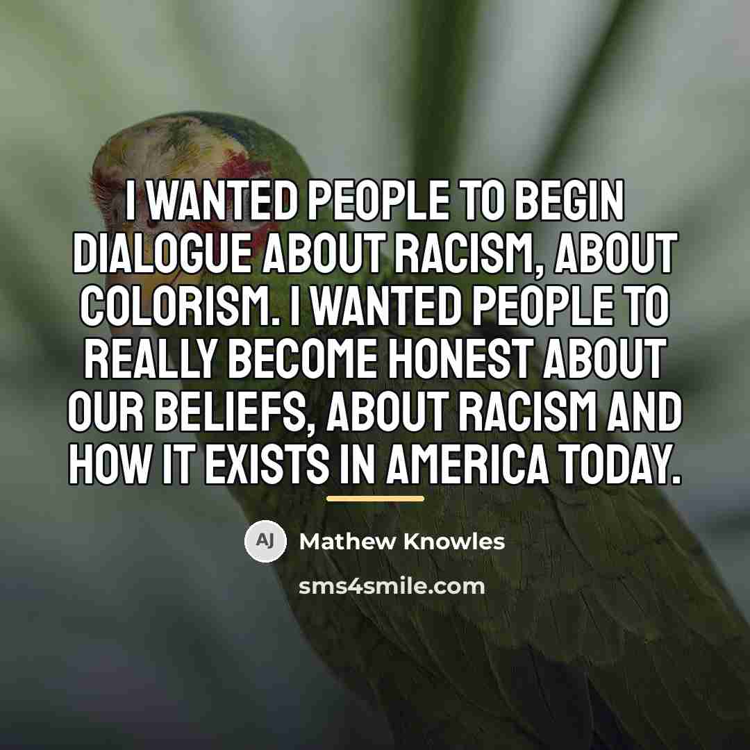 “I wanted people to begin dialogue about racism, about colorism.…” quote by Mathew Knowles