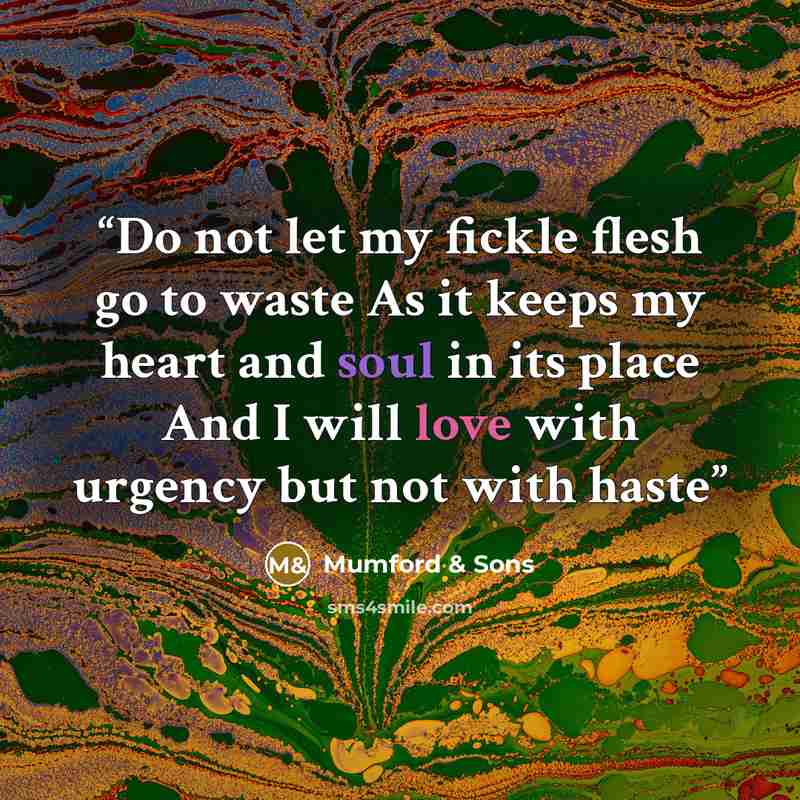 “Do not let my fickle flesh go to waste As it keeps my heart and soul in its place And I will love with urgency but not with haste” quote by Mumford & Sons