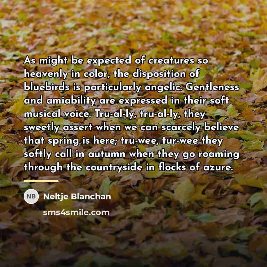 “As might be expected of creatures so heavenly in color,…” quote by Neltje Blanchan