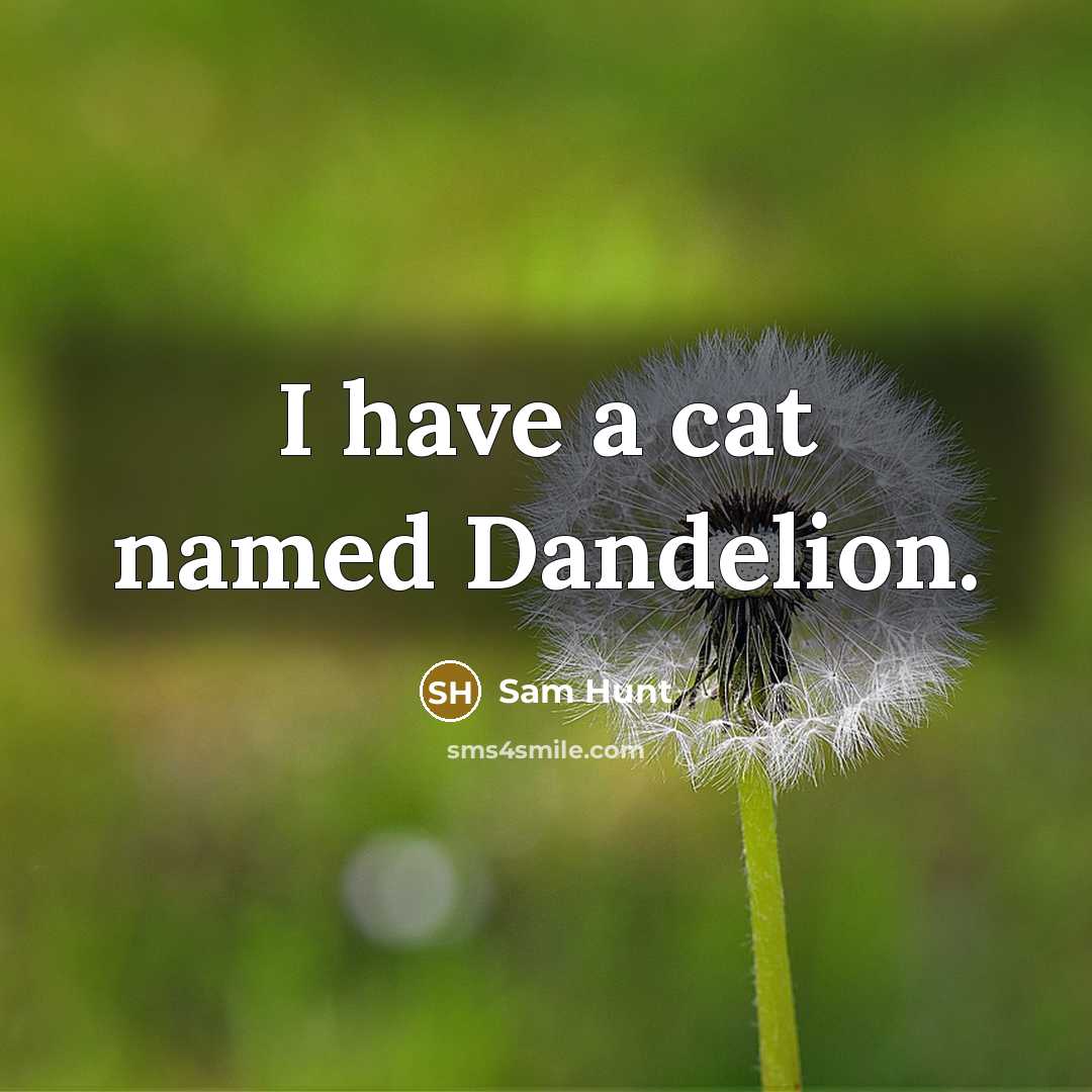 “I have a cat named Dandelion.…” quote by Sam Hunt