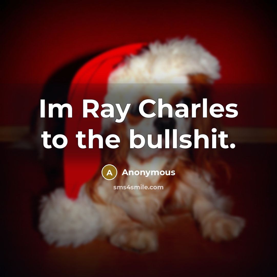 “Im Ray Charles to the bullshit.” quote by Anonymous