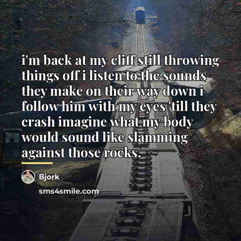 “i'm back at my cliff still throwing things off i…” quote by Bjork