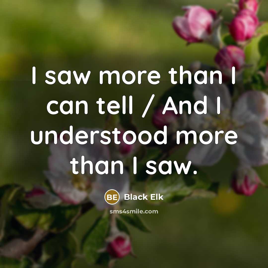 “I saw more than I can tell / And I…” quote by Black Elk