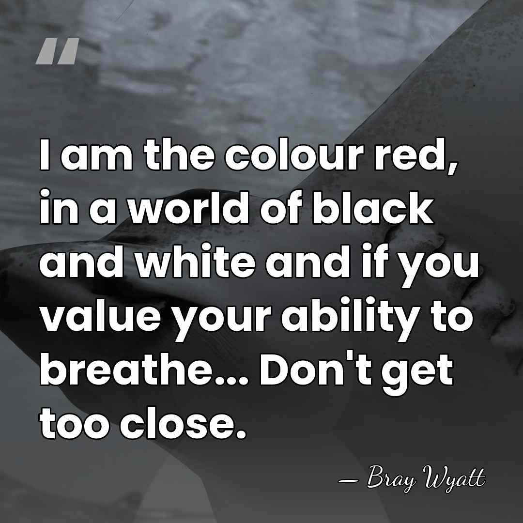 I am the colour red, in a world of black and white&hellip; - Bray Wyatt