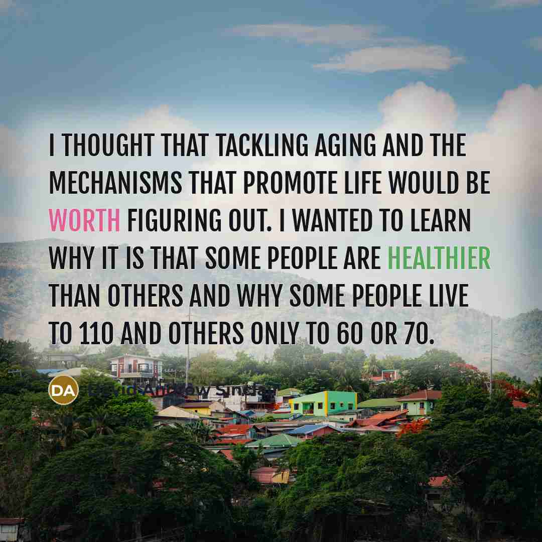 “I thought that tackling aging and the mechanisms that promote life would be worth figuring out. I wanted to learn why it is that some people are healthier than others and why some people live to 110 and others only to 60 or 70.” quote by David Andrew Sinclair
