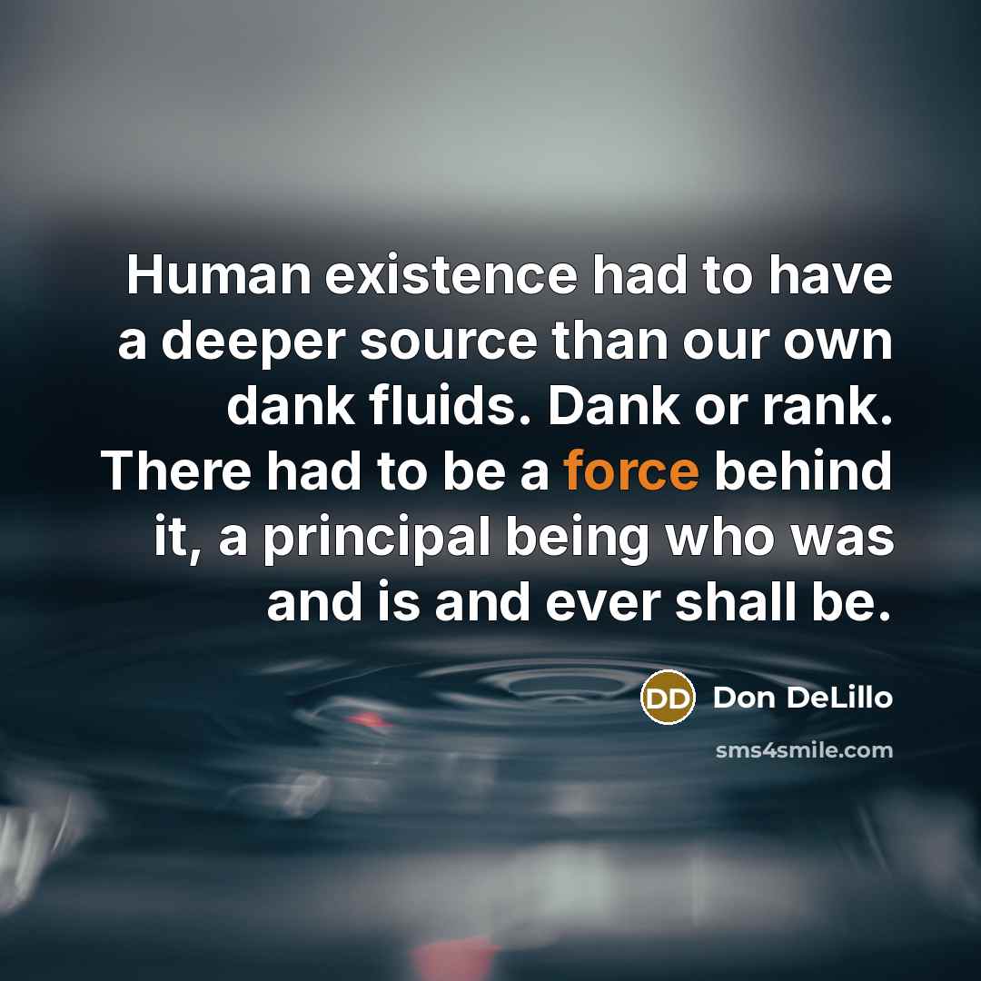 “Human existence had to have a deeper source than our…” quote by Don DeLillo