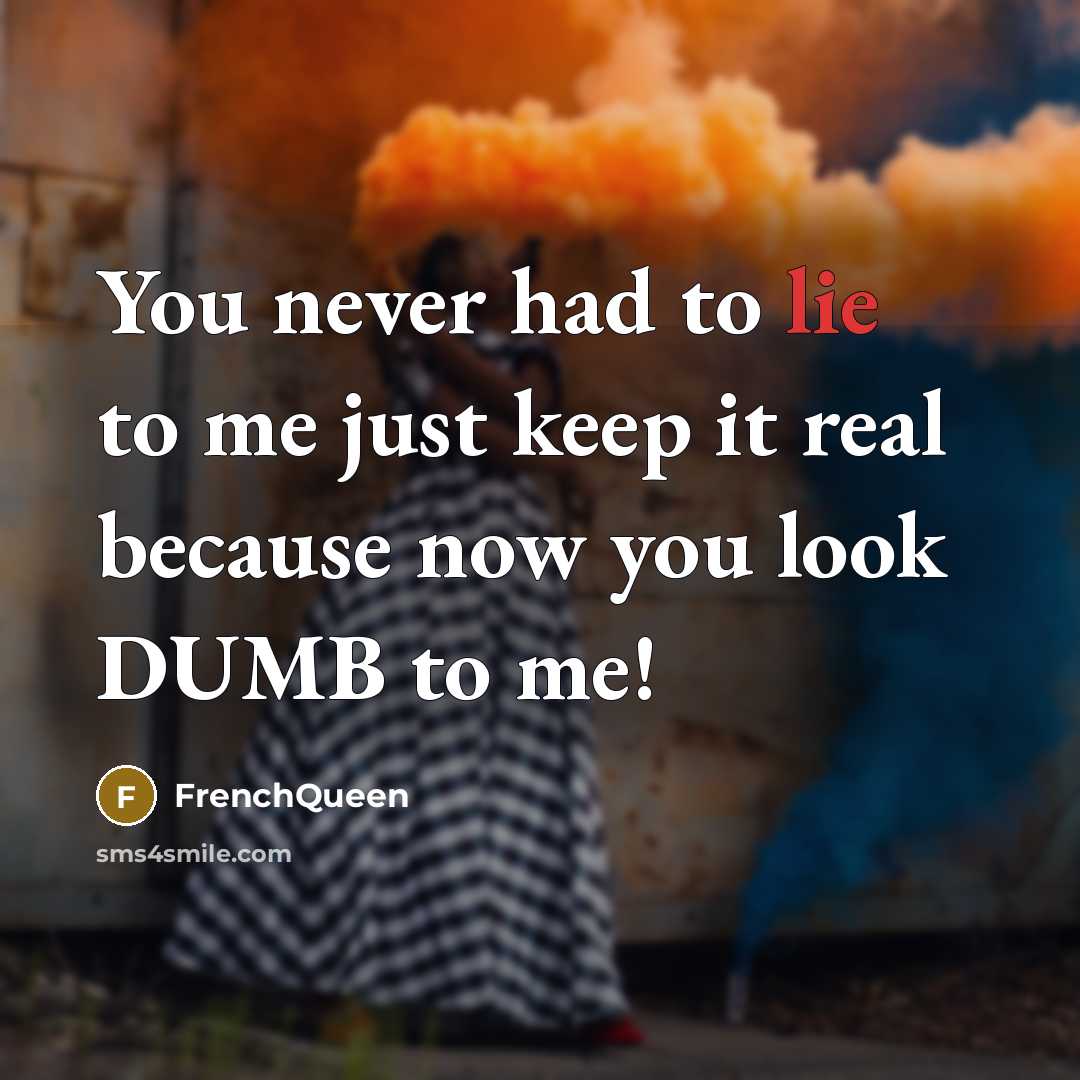 “You never had to lie to me just keep it…” quote by Frenchqueen