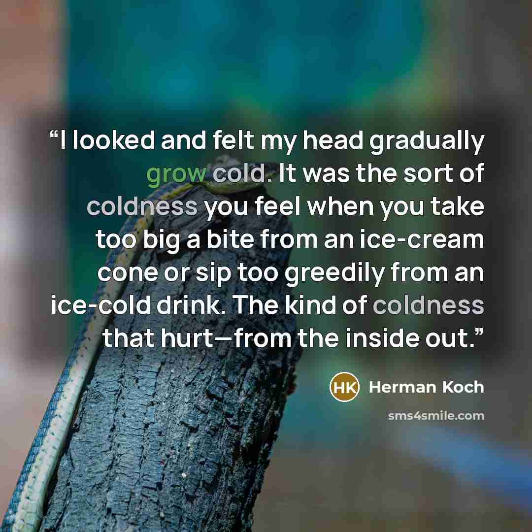“I looked and felt my head gradually grow cold. It was the sort of coldness you feel when you take too big a bite from an ice-cream cone or sip too greedily from an ice-cold drink. The kind of coldness that hurt—from the inside out.” quote by Herman Koch