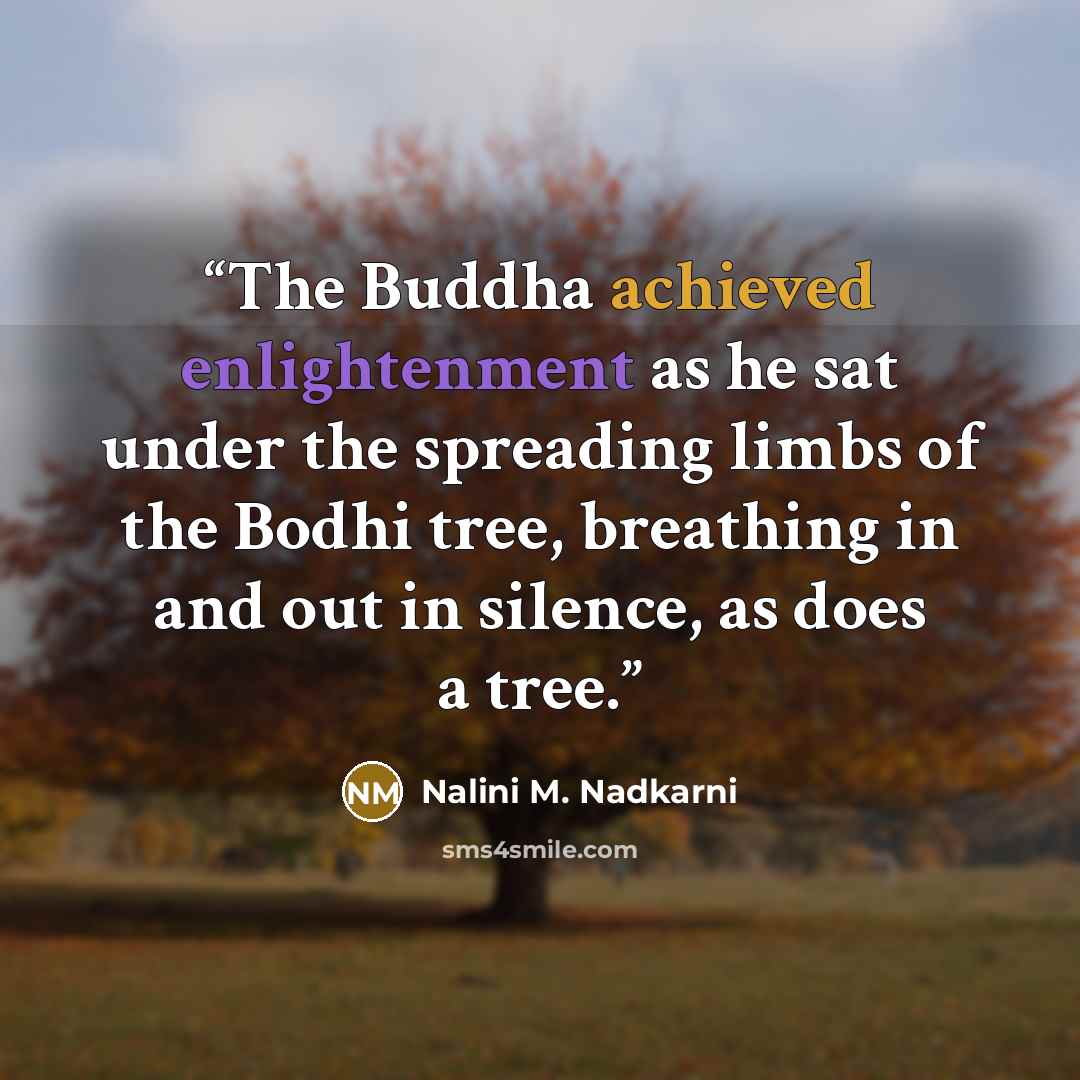 “The Buddha achieved enlightenment as he sat under the spreading limbs of the Bodhi tree, breathing in and out in silence, as does a tree.” quote by Nalini M. Nadkarni