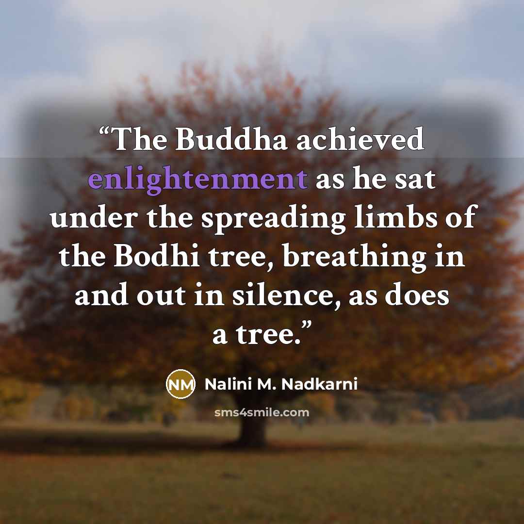 “The Buddha achieved enlightenment as he sat under the spreading limbs of the Bodhi tree, breathing in and out in silence, as does a tree.” quote by Nalini M. Nadkarni