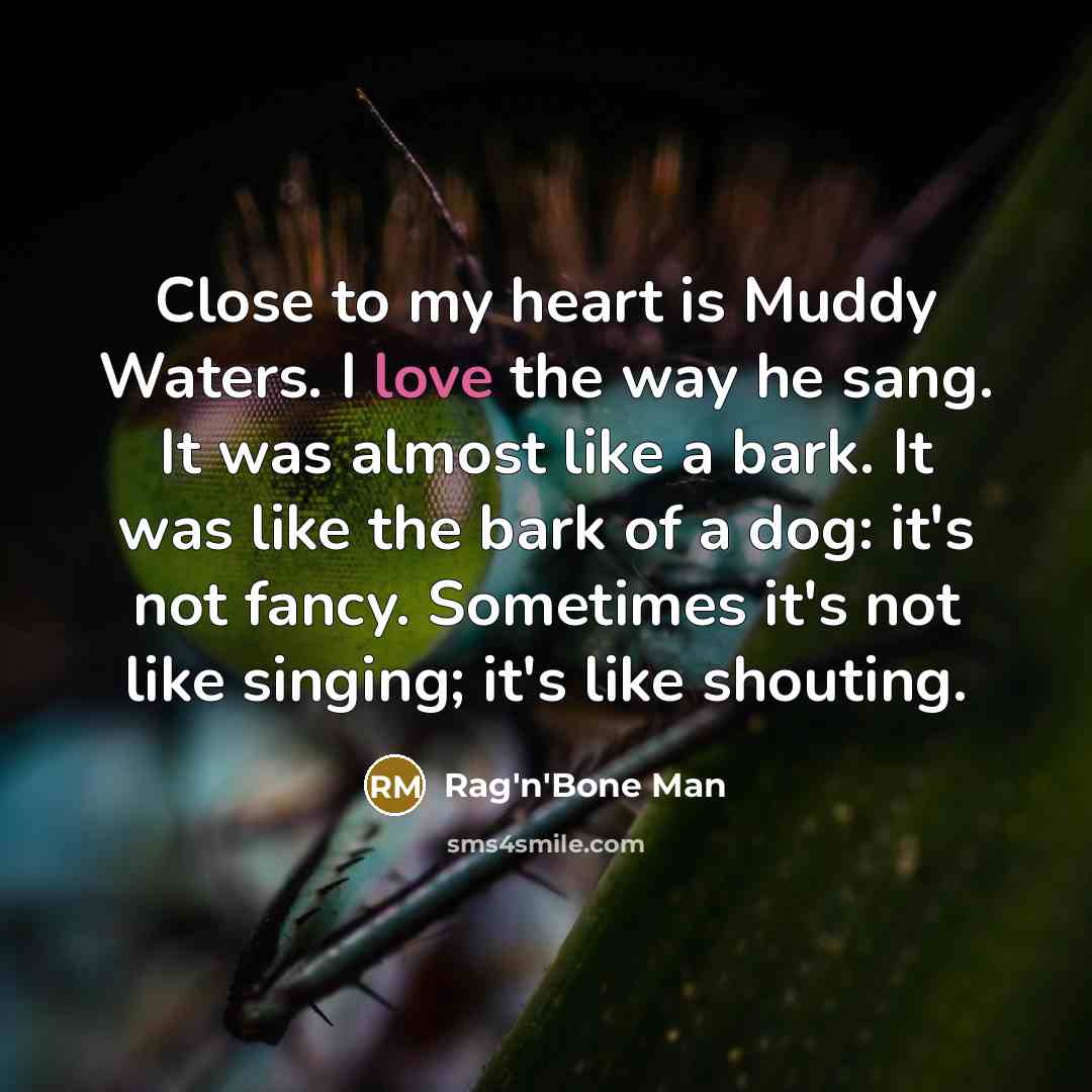 “Close to my heart is Muddy Waters. I love the…” quote by Rag'n'Bone Man
