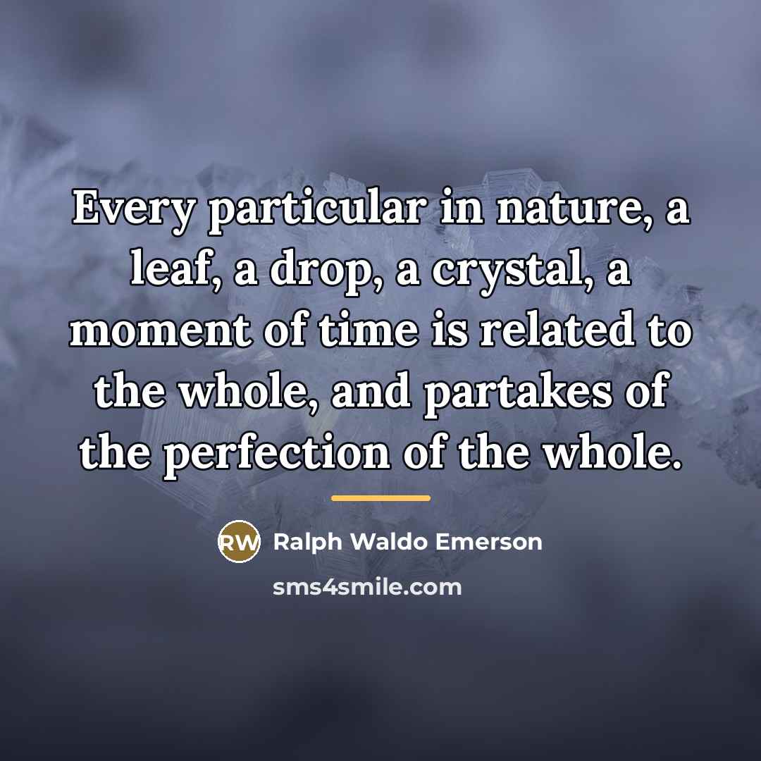 “Every particular in nature, a leaf, a drop, a crystal,…” quote by Ralph Waldo Emerson