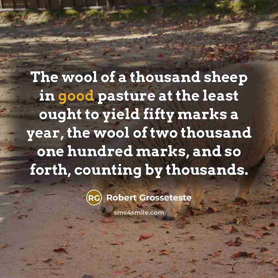 “The wool of a thousand sheep in good pasture at…” quote by Robert Grosseteste