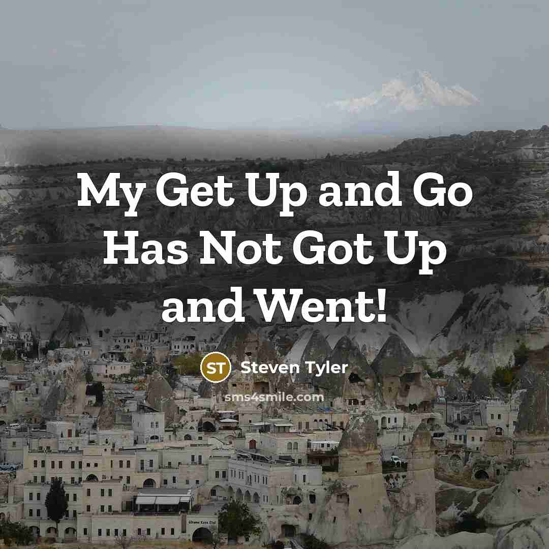 “My Get Up and Go Has Not Got Up and Went!” quote by Steven Tyler