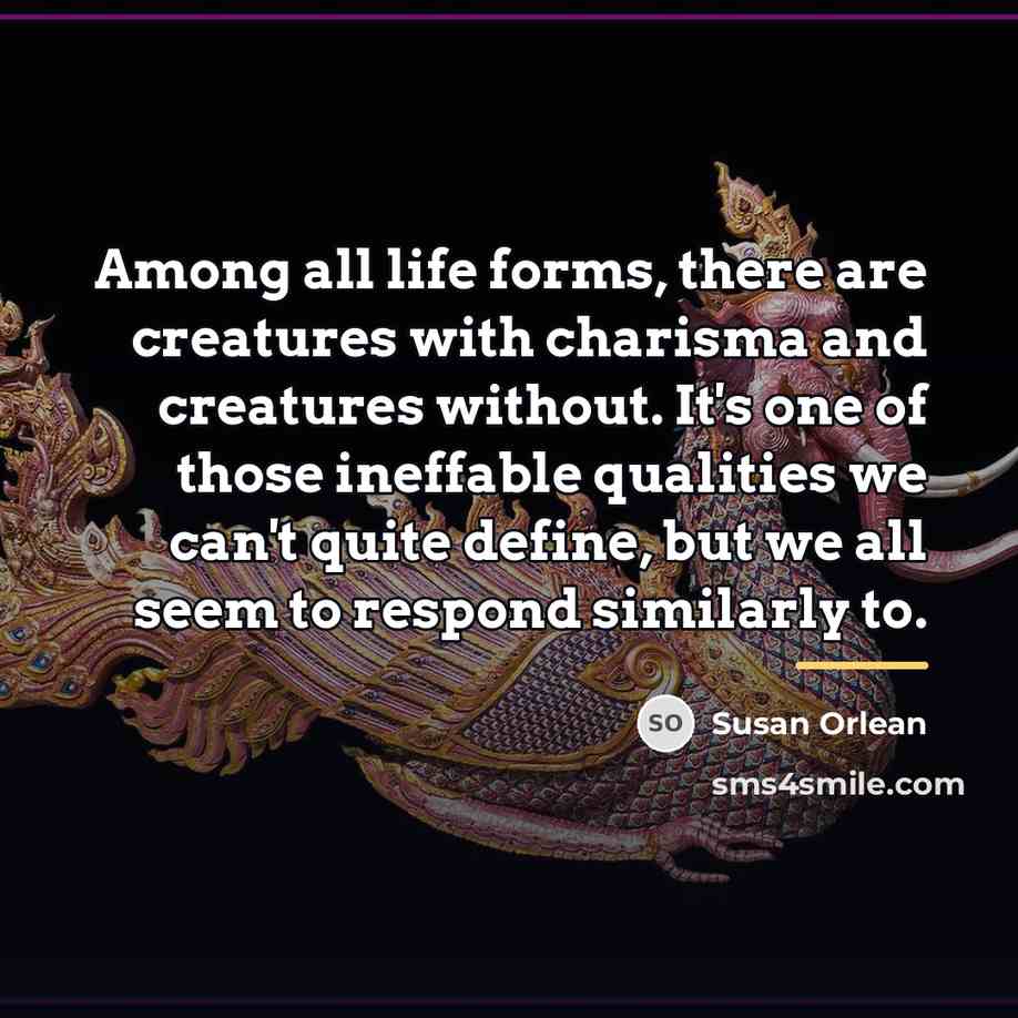 “Among all life forms, there are creatures with charisma and…” quote by Susan Orlean