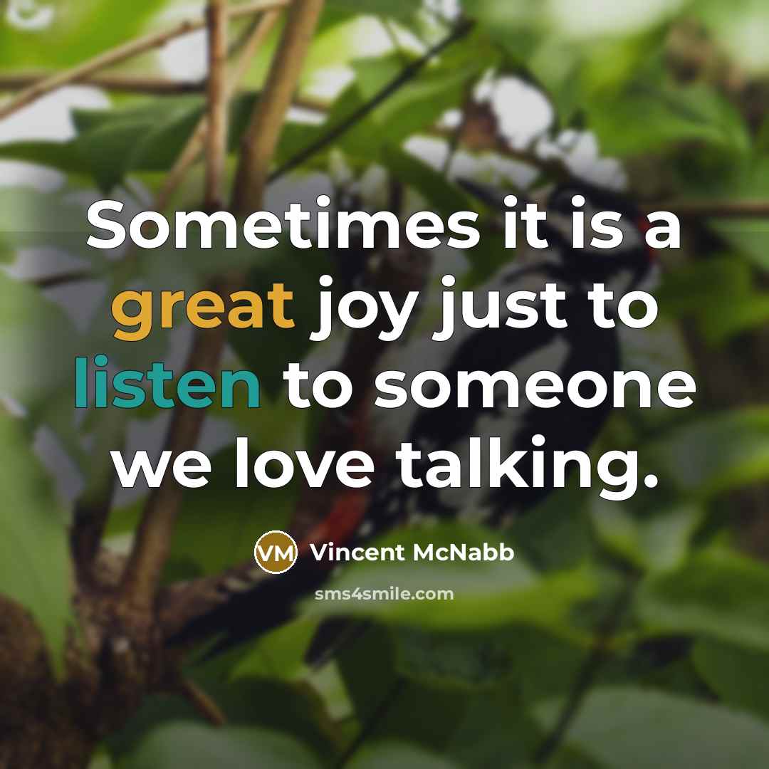 “Sometimes it is a great joy just to listen to…” quote by Vincent McNabb