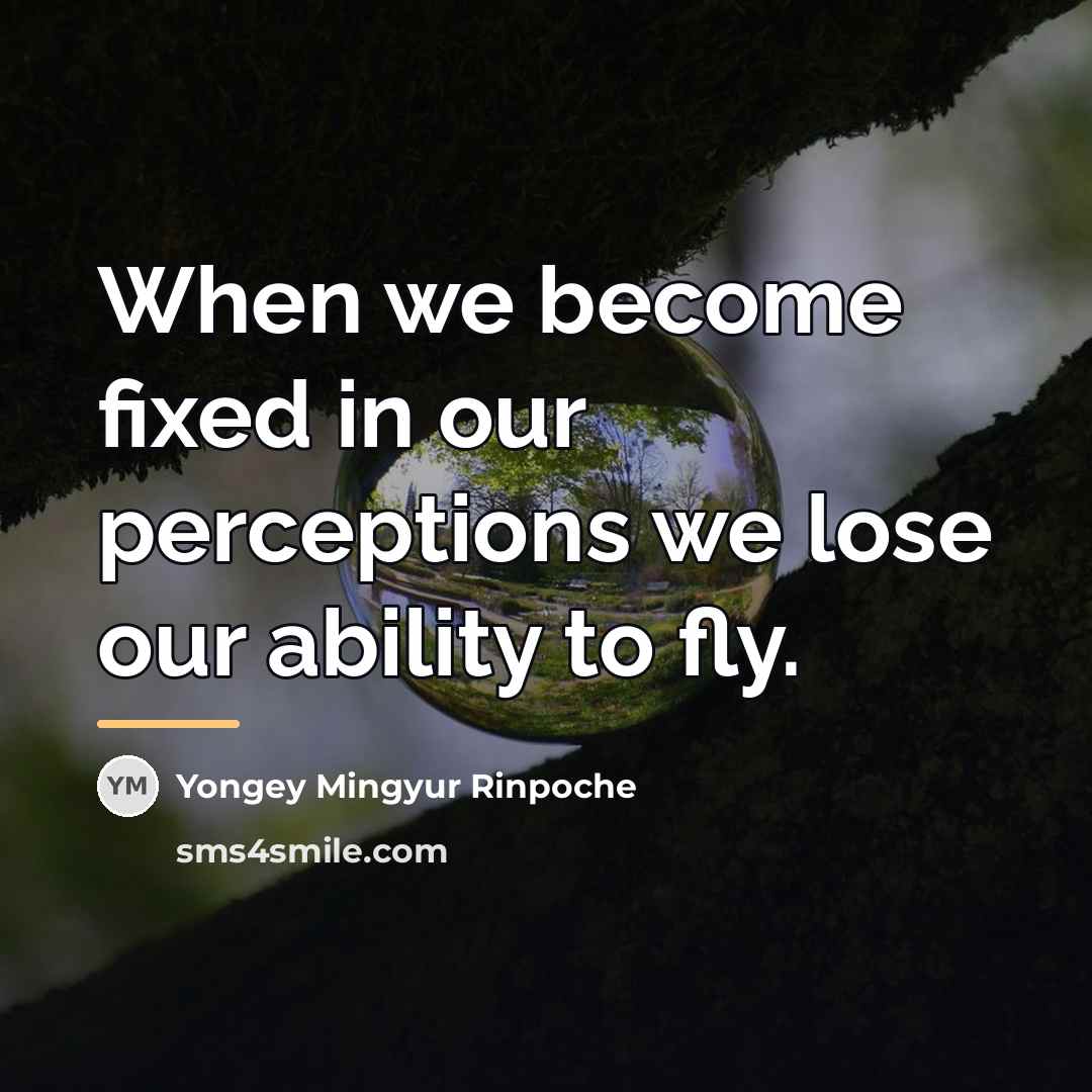 “When we become fixed in our perceptions we lose our…” quote by Yongey Mingyur Rinpoche