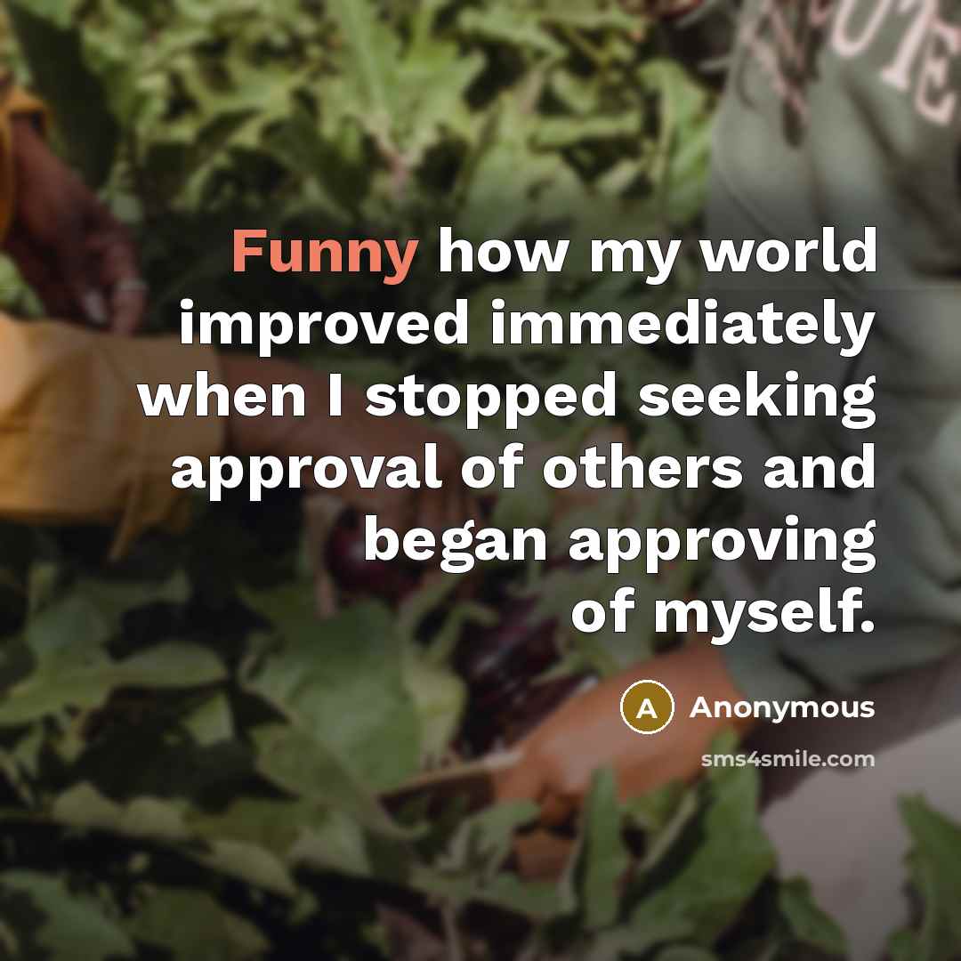 “Funny how my world improved immediately when I stopped seeking…” quote by Anonymous