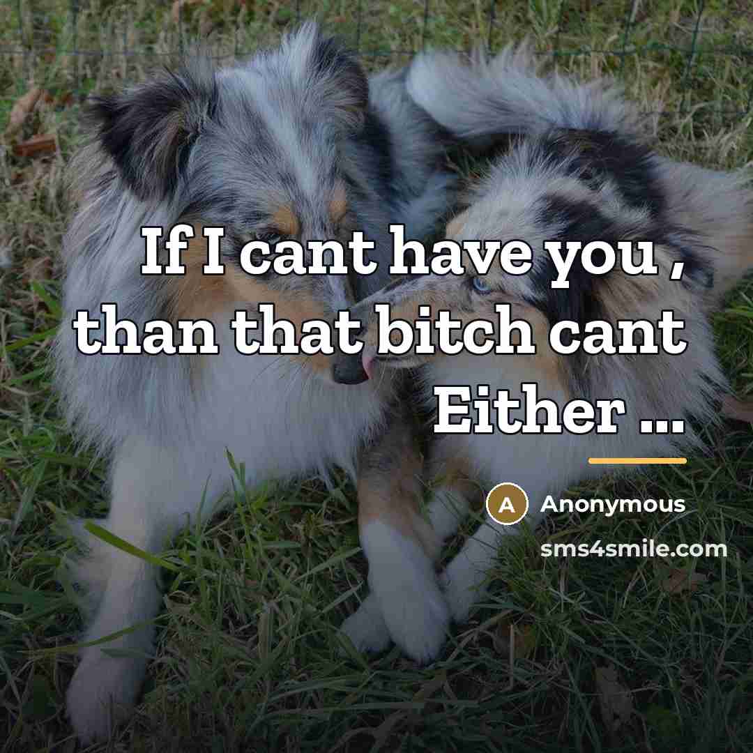 “If I cant have you , than that bitch cant…” quote by Anonymous