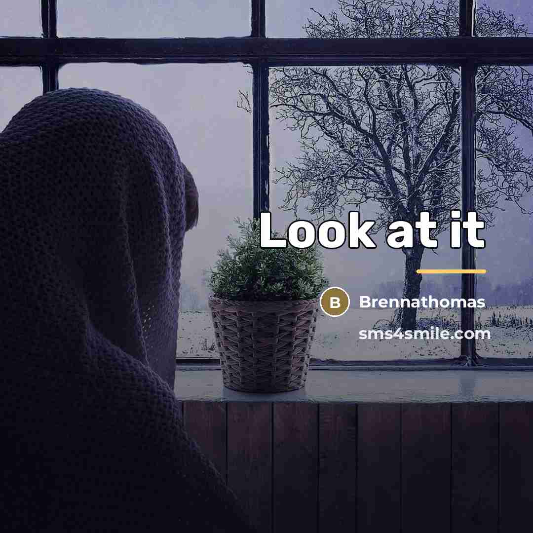 “Look at it…” quote by Brennathomas