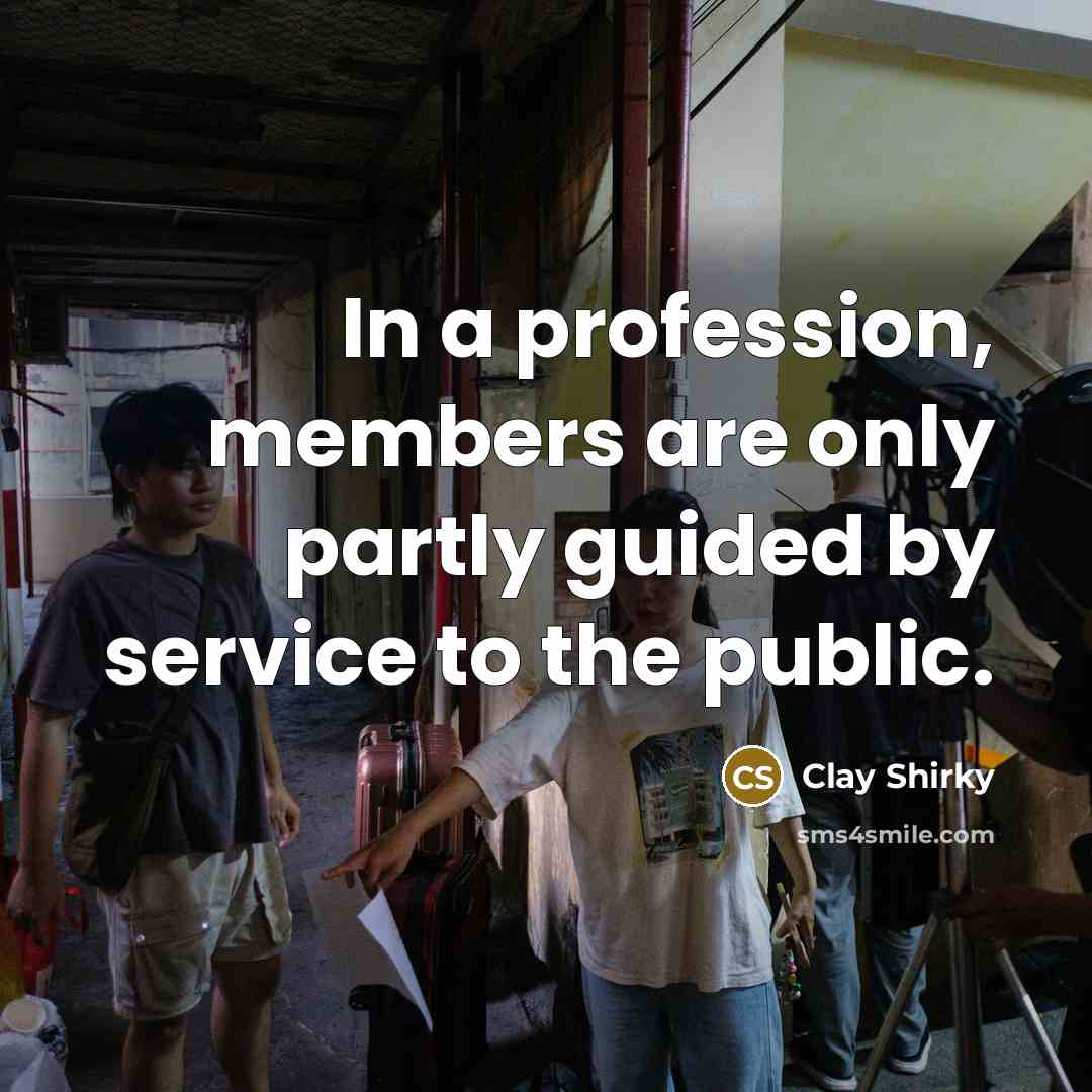 “In a profession, members are only partly guided by service…” quote by Clay Shirky