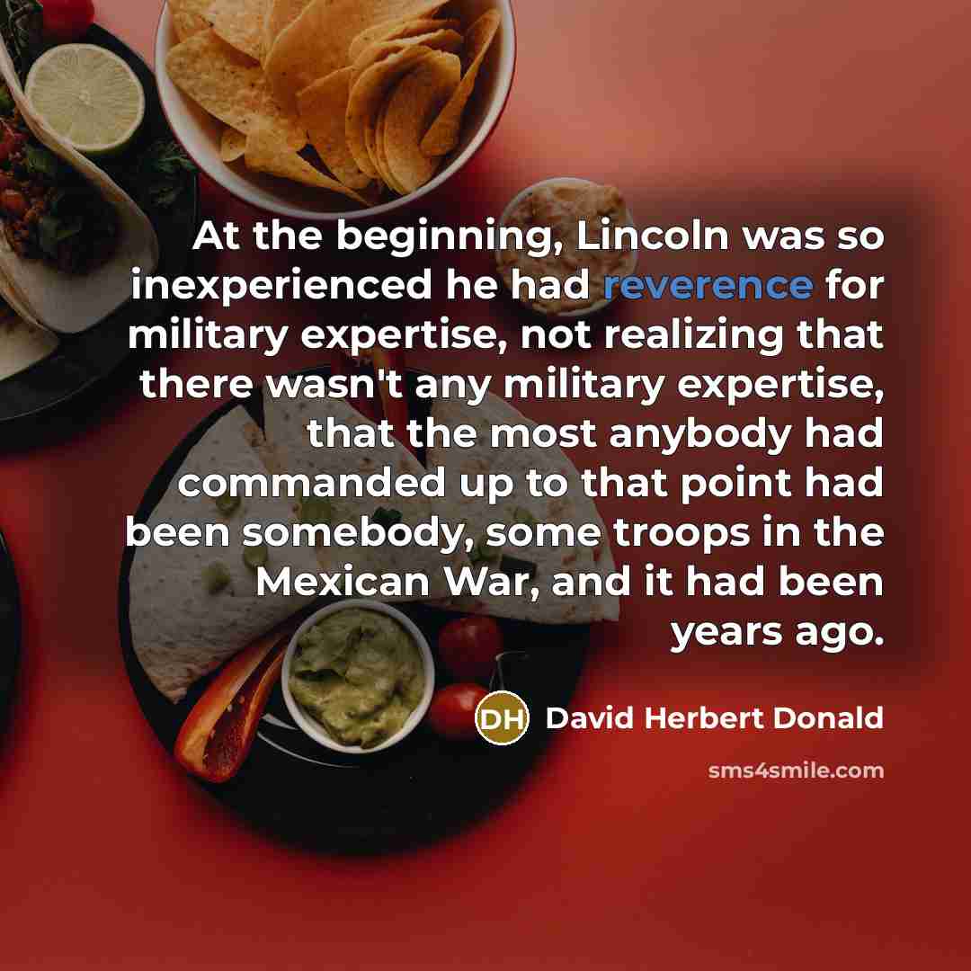 “At the beginning, Lincoln was so inexperienced he had reverence…” quote by David Herbert Donald