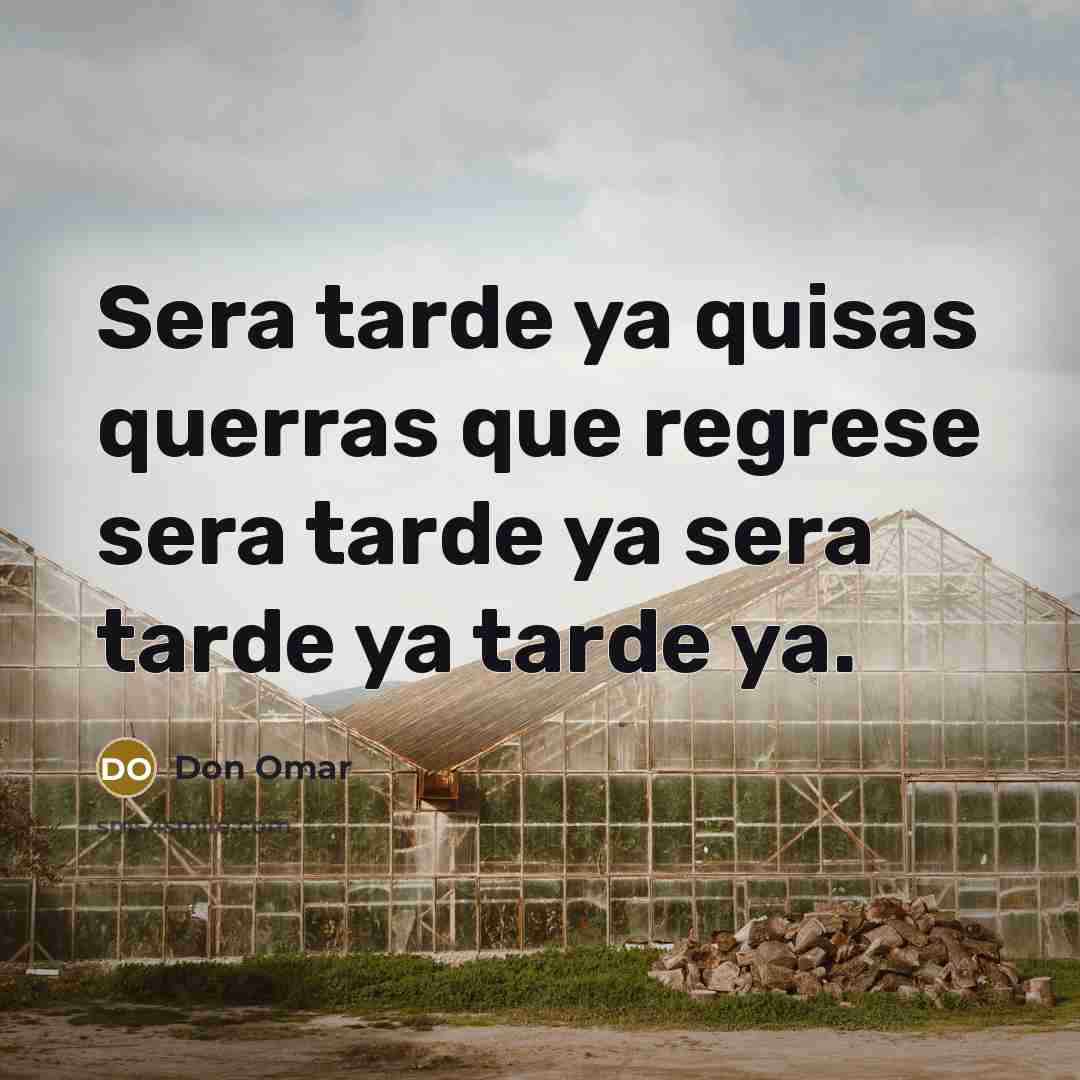 “Sera tarde ya quisas querras que regrese sera tarde ya sera tarde ya tarde ya.” quote by Don Omar