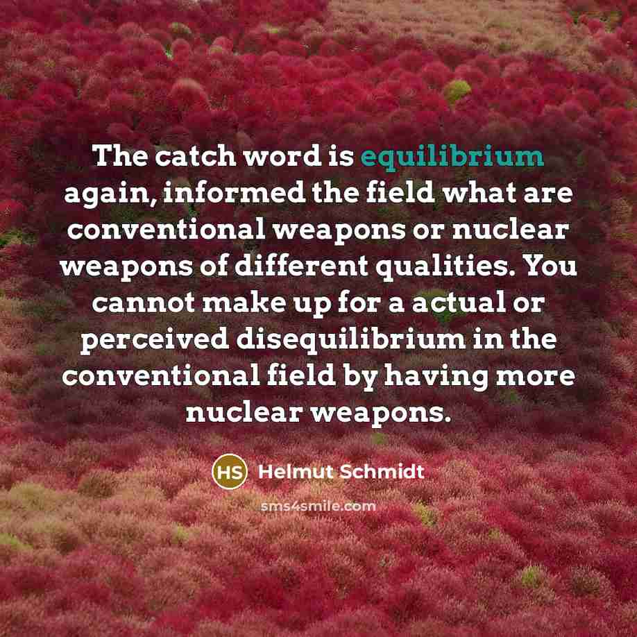 “The catch word is equilibrium again, informed the field what…” quote by Helmut Schmidt
