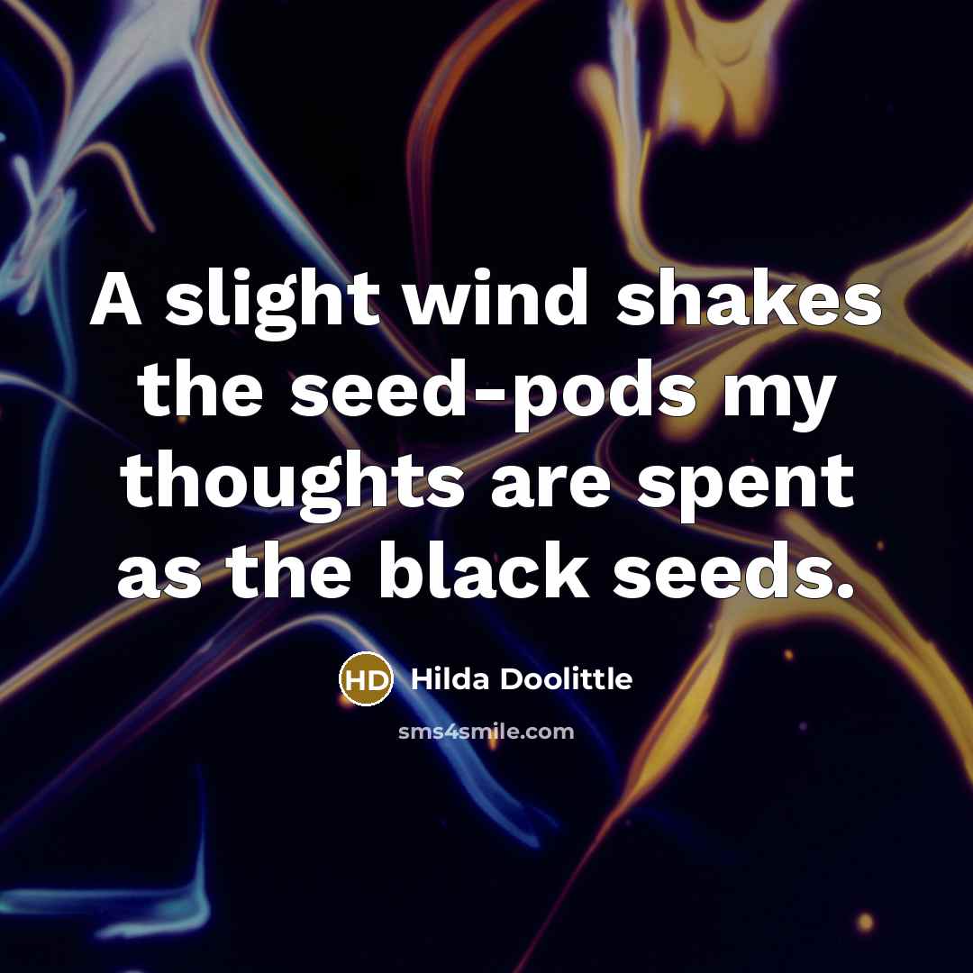 “A slight wind shakes the seed-pods my thoughts are spent…” quote by Hilda Doolittle