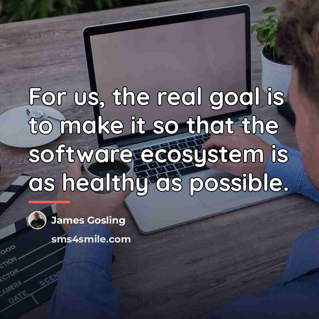 “For us, the real goal is to make it so…” quote by James Gosling