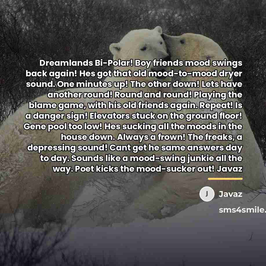 “Dreamlands Bi-Polar! Boy friends mood swings back again! Hes got…” quote by Javaz
