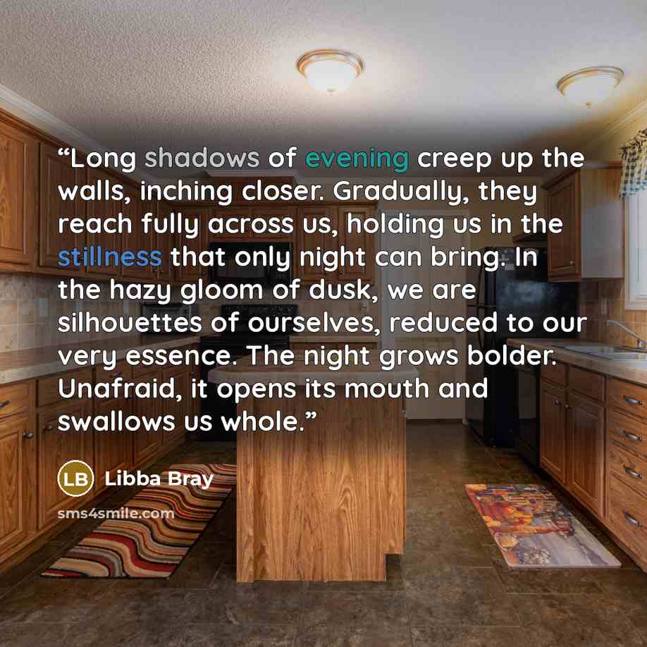 “Long shadows of evening creep up the walls, inching closer. Gradually, they reach fully across us, holding us in the stillness that only night can bring. In the hazy gloom of dusk, we are silhouettes of ourselves, reduced to our very essence. The night grows bolder. Unafraid, it opens its mouth…” quote by Libba Bray