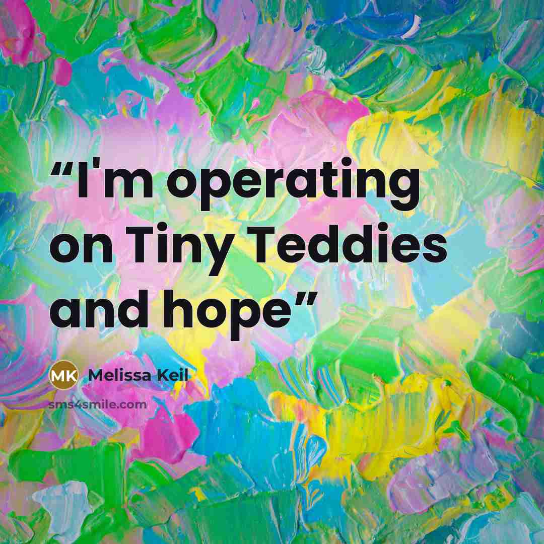 “I'm operating on Tiny Teddies and hope” quote by Melissa Keil