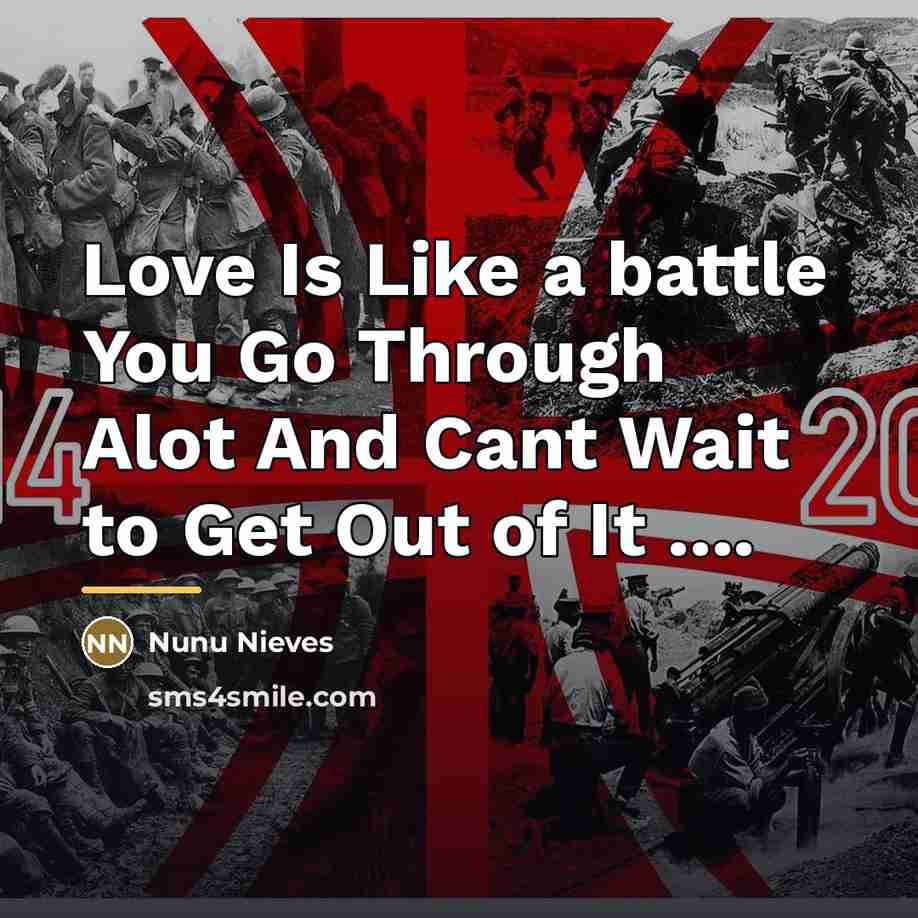 “Love Is Like a battle You Go Through Alot And…” quote by Nunu Nieves