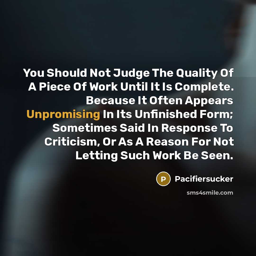 “You Should Not Judge The Quality Of A Piece Of…” quote by Pacifiersucker