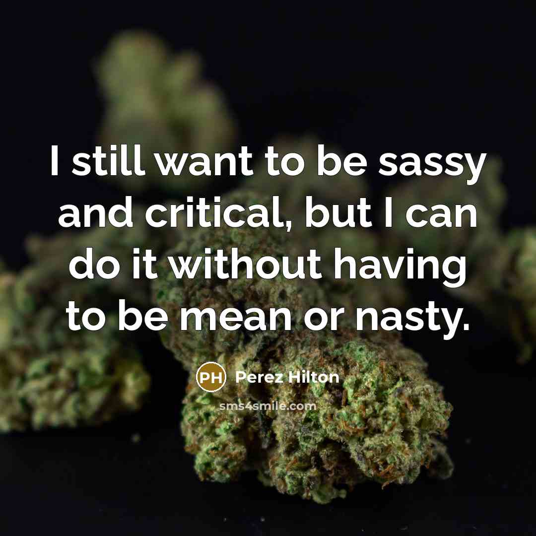 “I still want to be sassy and critical, but I can do it without having to be mean or nasty.” quote by Perez Hilton