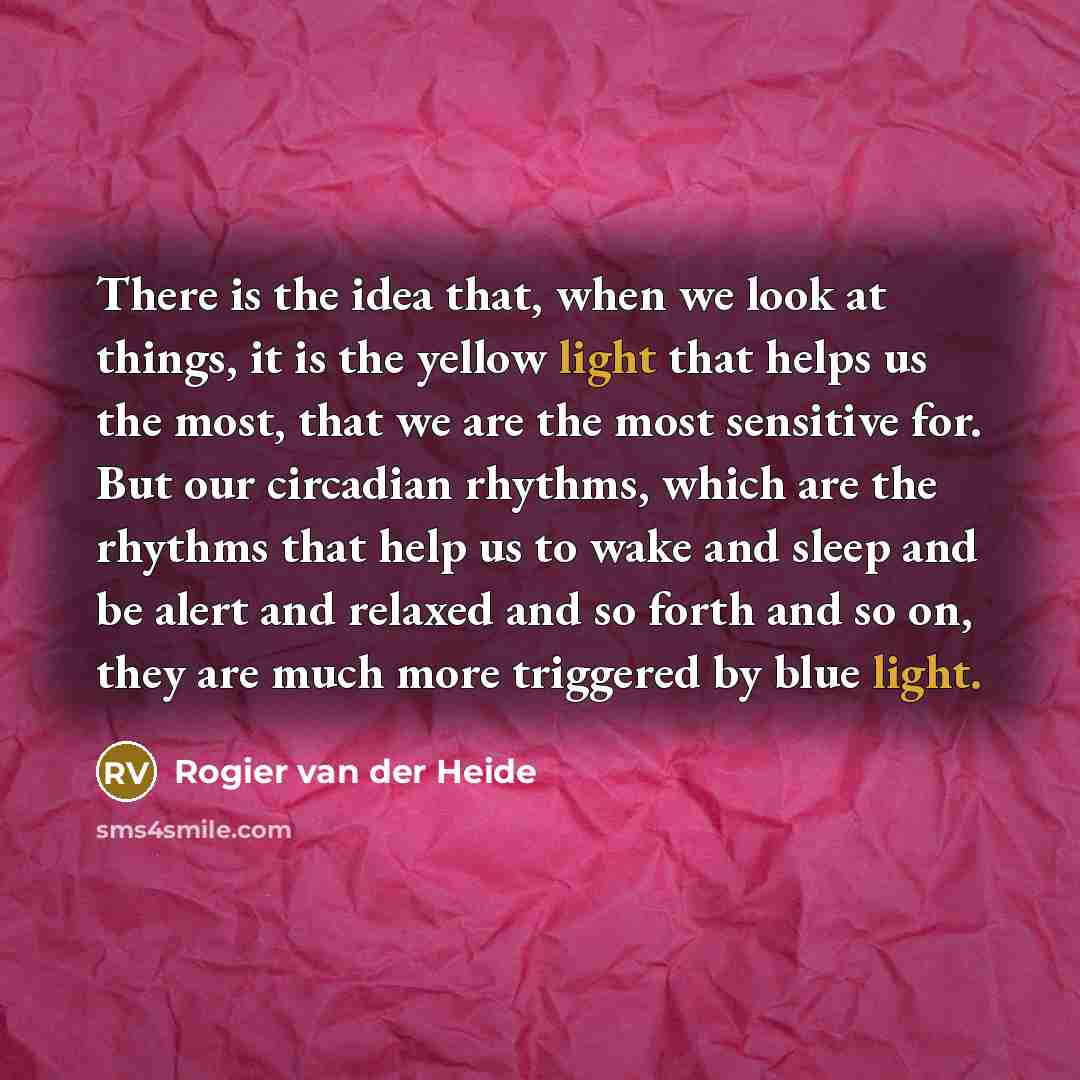 “There is the idea that, when we look at things,…” quote by Rogier van der Heide
