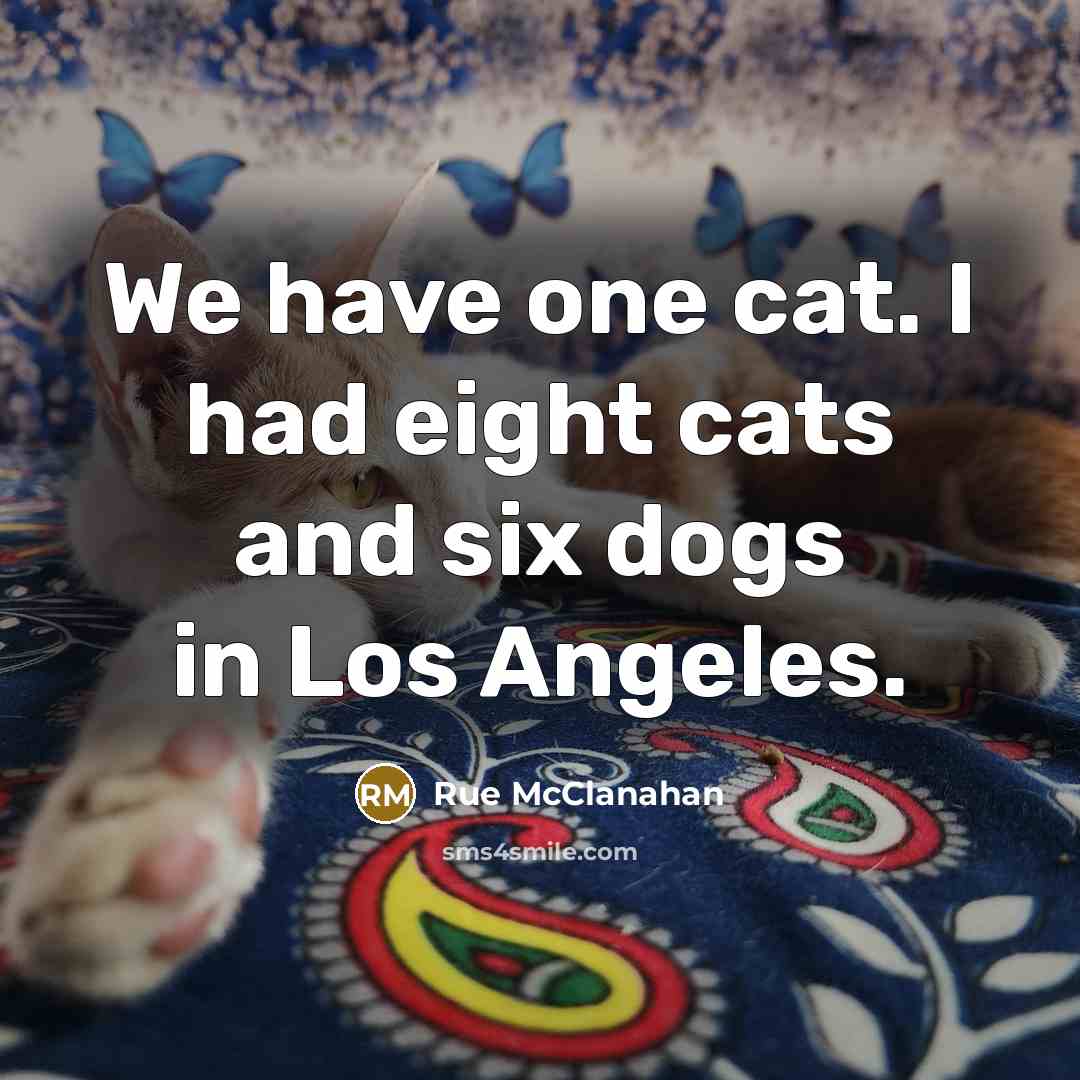 “We have one cat. I had eight cats and six…” quote by Rue McClanahan